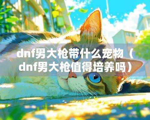 dnf男大枪带什么宠物（dnf男大枪值得培养吗）