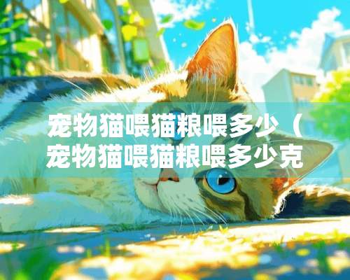 宠物猫喂猫粮喂多少（宠物猫喂猫粮喂多少克）