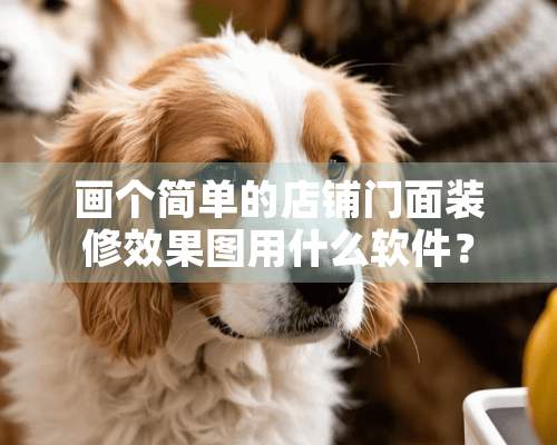 画个简单的店铺门面装修效果图用什么软件？