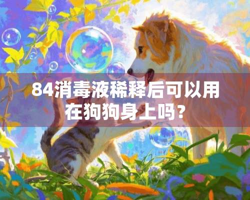 84消毒液稀释后可以用在狗狗身上吗？