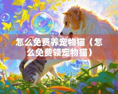 怎么免费养宠物猫（怎么免费领宠物猫）