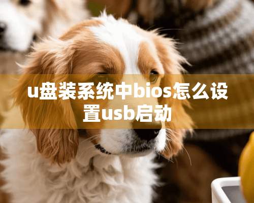 u盘装系统中bios怎么设置usb启动