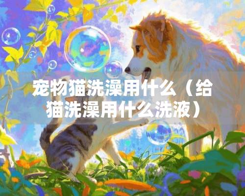 宠物猫洗澡用什么（给猫洗澡用什么洗液）