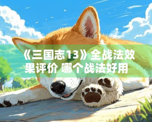 《三国志13》全战法效果评价 哪个战法好用