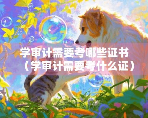 学审计需要考哪些证书（学审计需要考什么证）