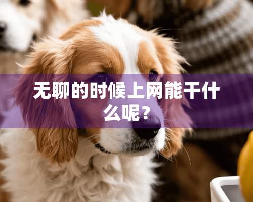 无聊的时候上网能干什么呢？