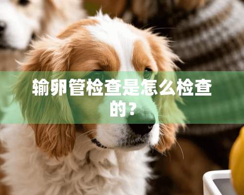 输卵管检查是怎么检查的？