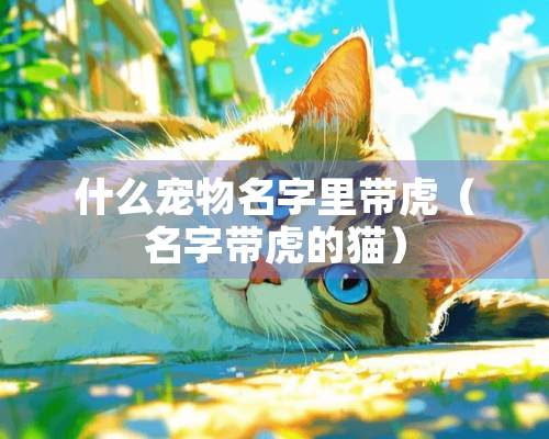 什么宠物名字里带虎（名字带虎的猫）