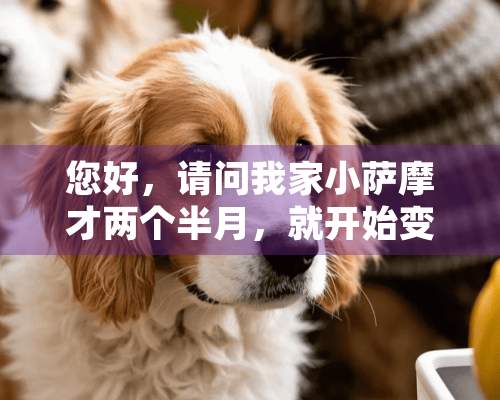 您好，请问我家小萨摩才两个半月，就开始变猴脸了，这正常吗