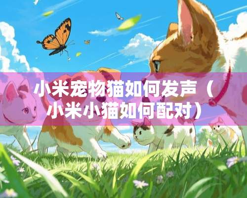 小米宠物猫如何发声（小米小猫如何配对）