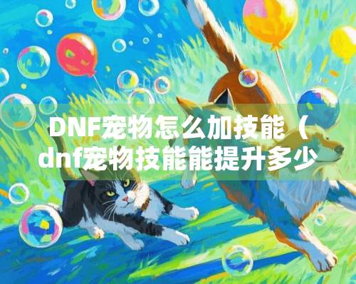 DNF宠物怎么加技能（dnf宠物技能能提升多少）