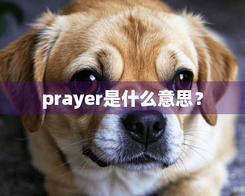 prayer是什么意思？