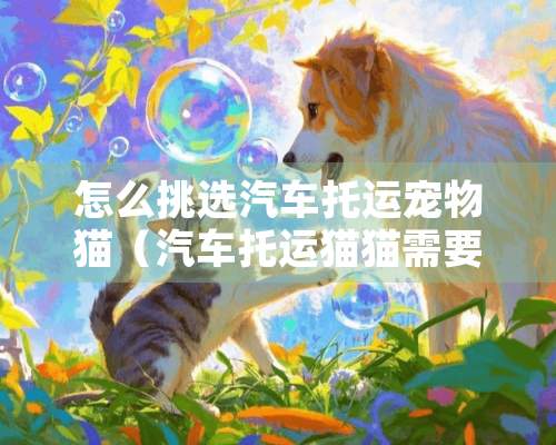 怎么挑选汽车托运宠物猫（汽车托运猫猫需要准备什么）