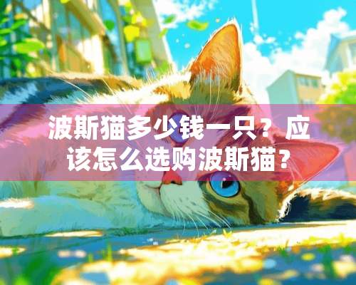 波斯猫多少钱一只？应该怎么选购波斯猫？