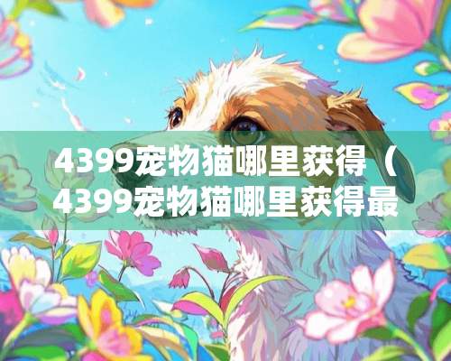 4399宠物猫哪里获得（4399宠物猫哪里获得最多）