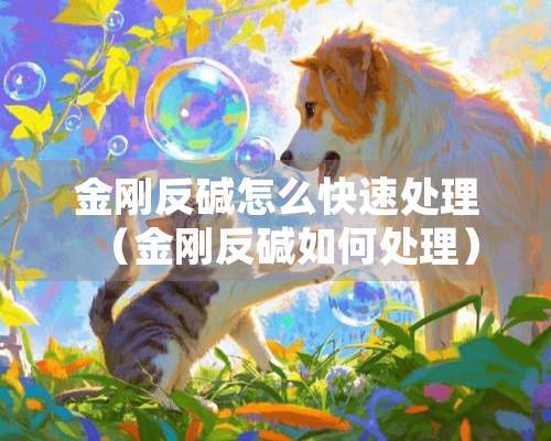 金刚反碱怎么快速处理（金刚反碱如何处理）