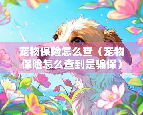 宠物保险怎么查（宠物保险怎么查到是骗保）