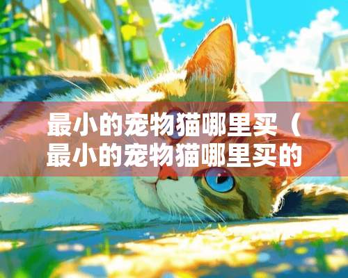 最小的宠物猫哪里买（最小的宠物猫哪里买的到）