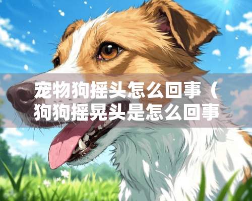 宠物狗摇头怎么回事（狗狗摇晃头是怎么回事）