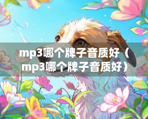 mp3哪个牌子音质好（mp3哪个牌子音质好）