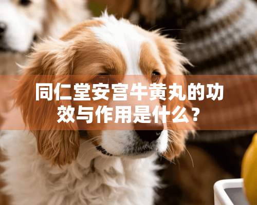 同仁堂安宫牛黄丸的功效与作用是什么？