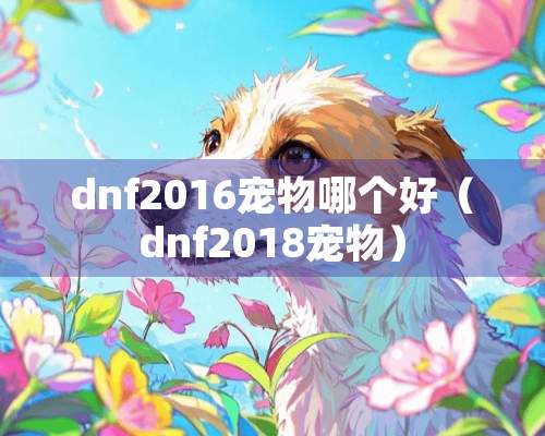 dnf2016宠物哪个好（dnf2018宠物）