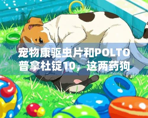 宠物康驱虫片和POLTO普拿杜锭10，这两药狗狗怎么吃啊