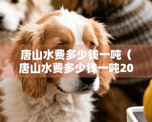 唐山水费多少钱一吨（唐山水费多少钱一吨2020）