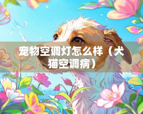 宠物空调灯怎么样（犬猫空调病）