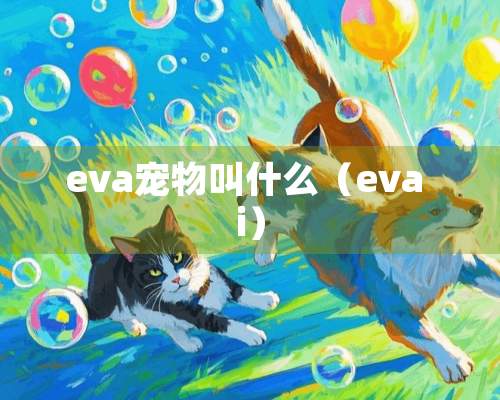 eva宠物叫什么（eva i）