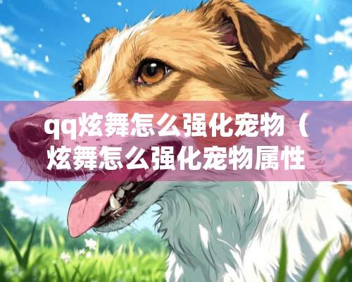 qq炫舞怎么强化宠物（炫舞怎么强化宠物属性）