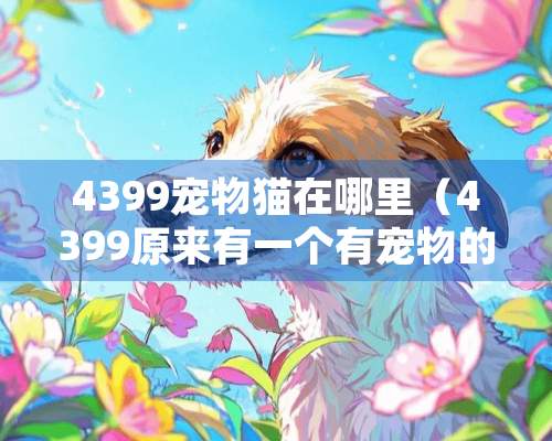 4399宠物猫在哪里（4399原来有一个有宠物的游戏）