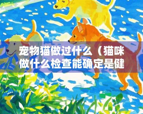 宠物猫做过什么（猫咪做什么检查能确定是健康的）