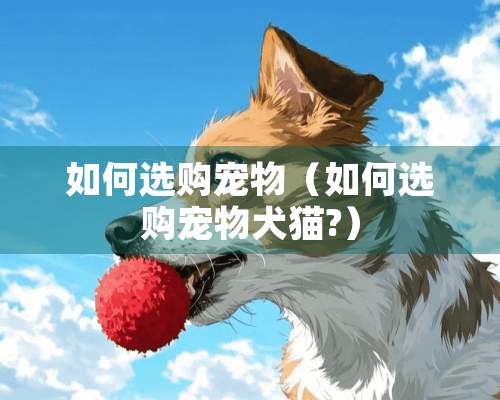 如何选购宠物（如何选购宠物犬猫?）