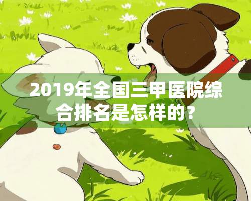 2019年全国三甲医院综合排名是怎样的？