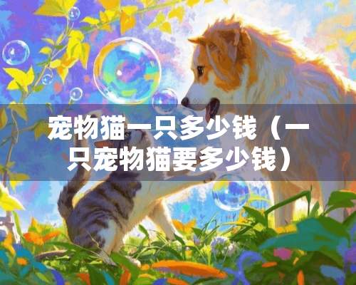 宠物猫一只多少钱（一只宠物猫要多少钱）