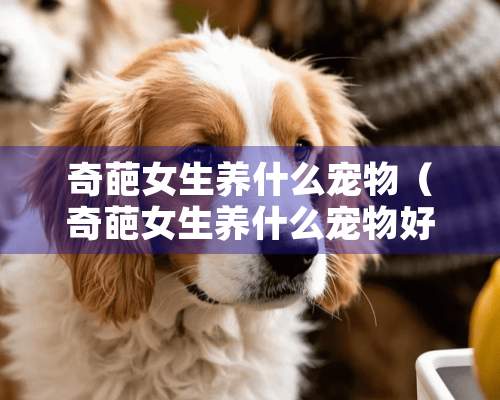 奇葩女生养什么宠物（奇葩女生养什么宠物好看）