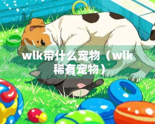 wlk带什么宠物（wlk 稀有宠物）