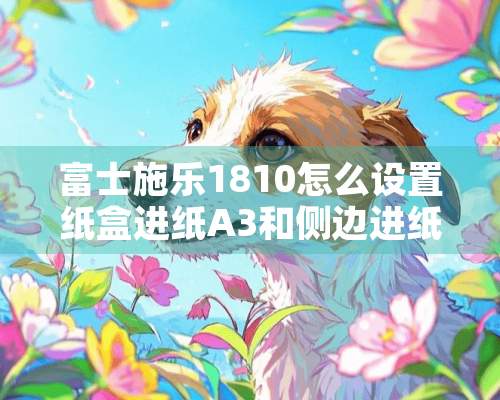 富士施乐1810怎么设置纸盒进纸A3和侧边进纸A4