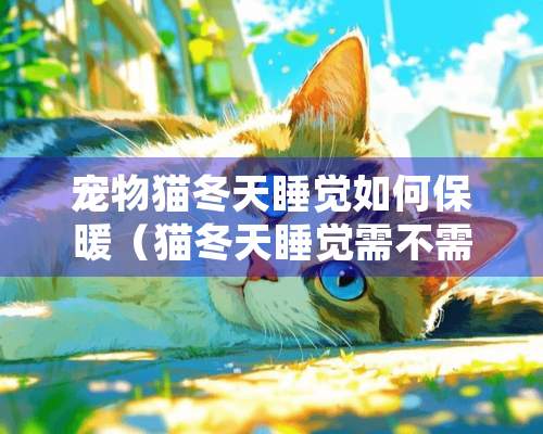 宠物猫冬天睡觉如何保暖（猫冬天睡觉需不需要盖被子）