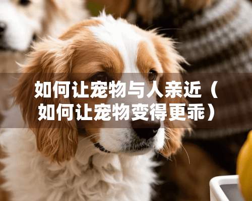 如何让宠物与人亲近（如何让宠物变得更乖）