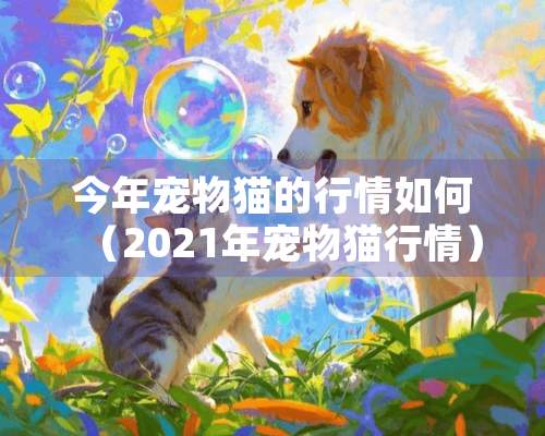 今年宠物猫的行情如何（2021年宠物猫行情）