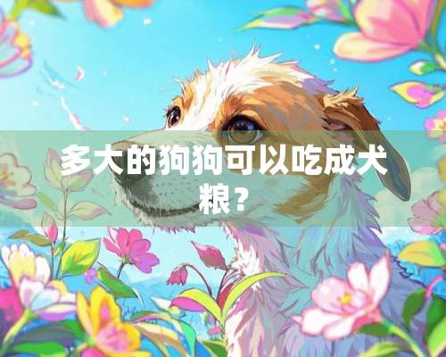 多大的狗狗可以吃成犬粮？