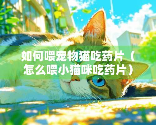 如何喂宠物猫吃药片（怎么喂小猫咪吃药片）