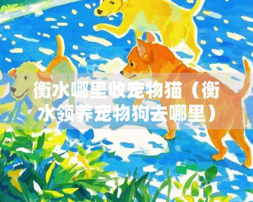 衡水哪里收宠物猫（衡水领养宠物狗去哪里）