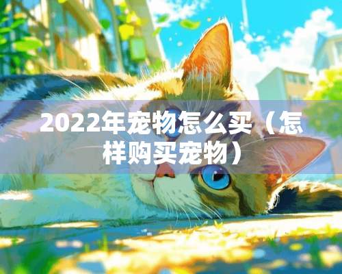 2022年宠物怎么买（怎样购买宠物）