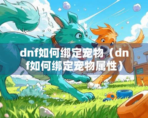 dnf如何绑定宠物（dnf如何绑定宠物属性）