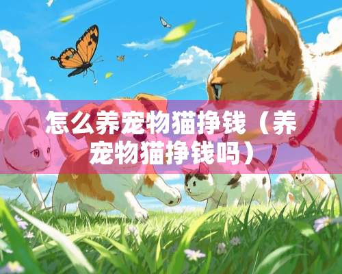 怎么养宠物猫挣钱（养宠物猫挣钱吗）