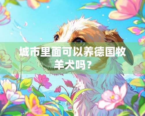 城市里面可以养德国牧羊犬吗？