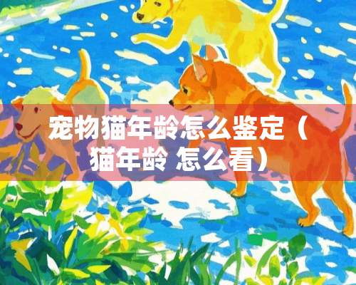 宠物猫年龄怎么鉴定（猫年龄 怎么看）